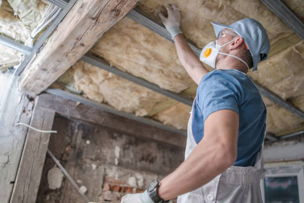 Best Insulation Installation Services in Forest Heights, TX