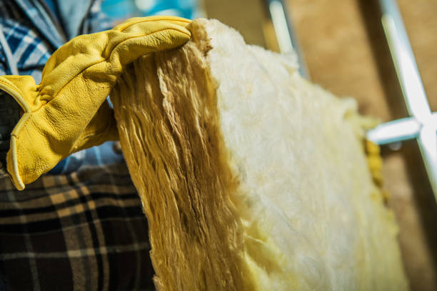 Best Specialty Insulation in Forest Heights, TX