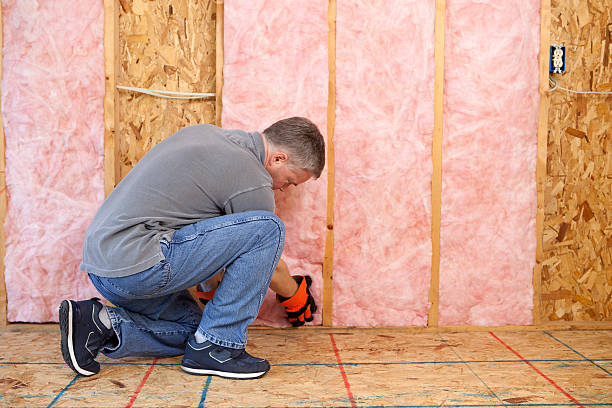 Best Specialty Insulation in Forest Heights, TX