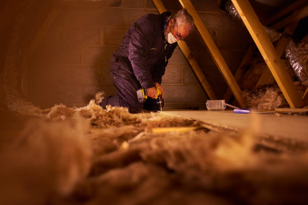 Best Energy Efficiency Solutions in Forest Heights, TX